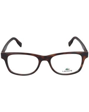 Lacoste Sonnenbrille L2913 230 Havanna /18/145 - Schwarz