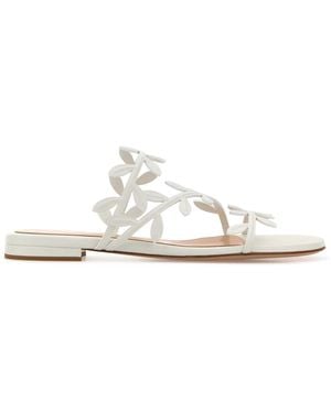 Gianvito Rossi Nappa Leather Flavia Slippers - White