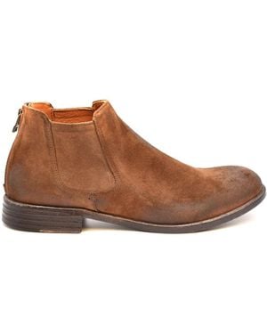Pawelk's Bootie Bruin