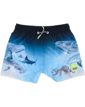 Molo Niko Boardies - Blauw