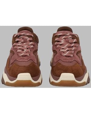 Ash Chunky Suede Mesh Trainers - Brown