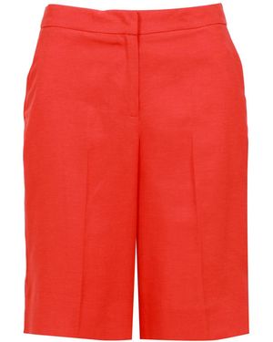 Kaos Shorts Shellac Rot