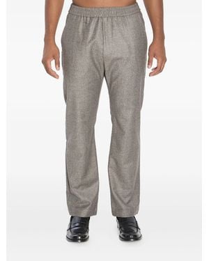 Barena Pantalone Tosador - Grey
