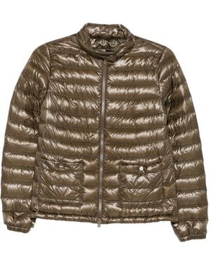 Herno Gesteppte Jacke Mit Reißverschluss - Braun