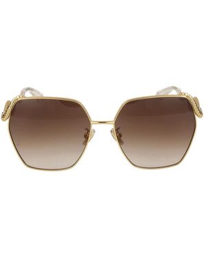 Roberto Cavalli Sunglasses Src035 M /16/140 - Brown