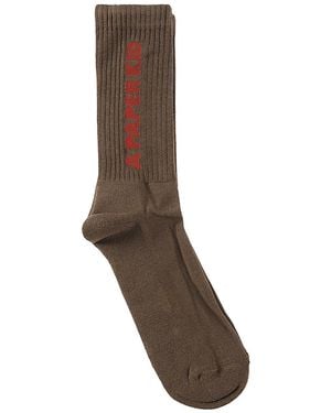 A PAPER KID Logo Socks - Brown