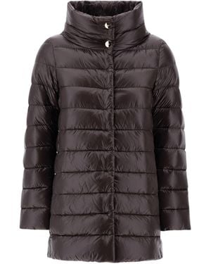 Herno Coats - Zwart