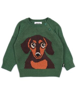 Molo Bless Jumpers - Green
