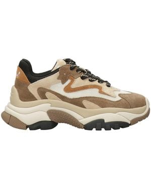 Ash Sneakers - Brown