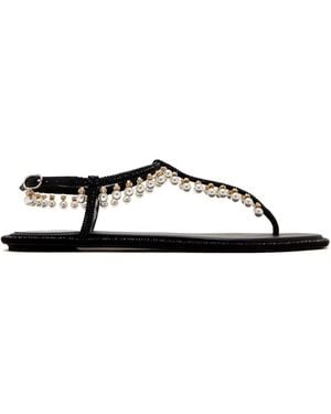 Rene Caovilla Sandalen mit Kristallen - Schwarz