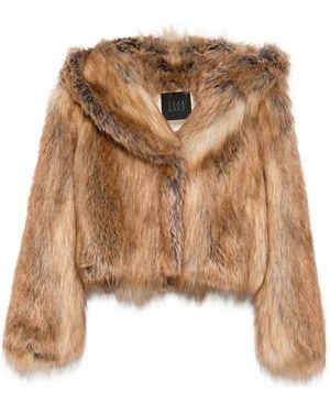 BB COUTURE Bb Couture Jackets - Brown
