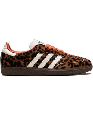 adidas Sneakers - Brown
