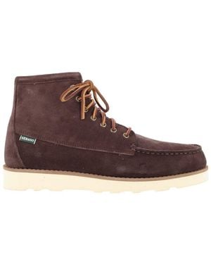 Sebago Sebago - Brown