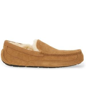 UGG Schlüpfen auf Loafer "Linscot" - Braun