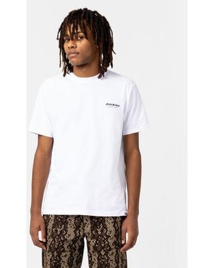 Dickies Camden Box Tee Ss - Weiß