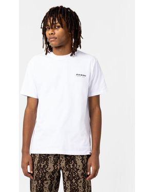 Dickies Camden Box Tee Ss - Weiß