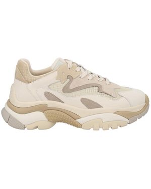 Ash Round-Toe Sneakers - Natural