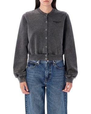 Alexander Wang Pullover - Grau