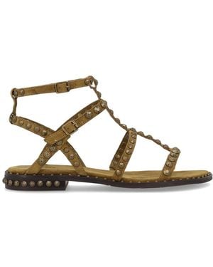 Ash Studded Sandals - Brown
