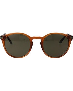 Calvin Klein Injected Sunglasses - Brown