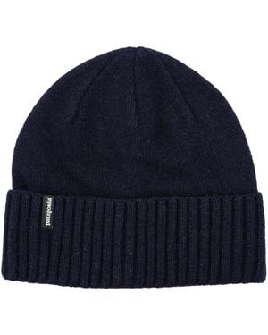 Patagonia Patagonië Hoeden Blauw