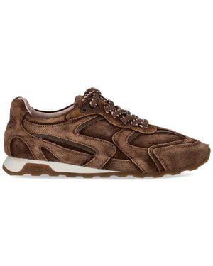 Ash Kasar Suede Sneaker - Brown