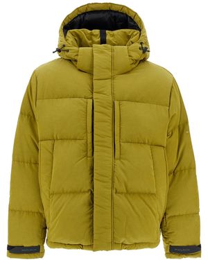 Woolrich Korte Ripstop Olmetex Down - Groen