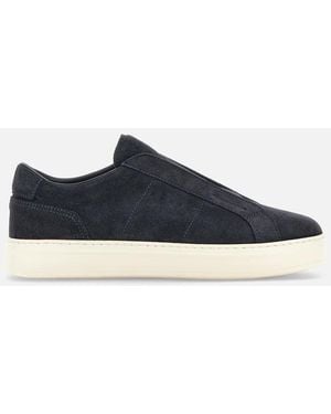 Hogan H TV - Blau