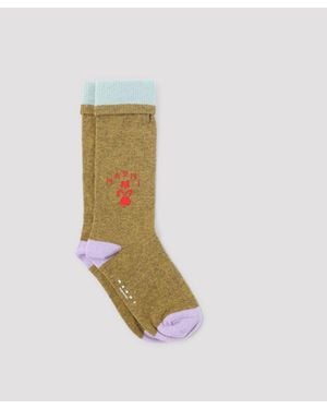 Marni Socks - Groen