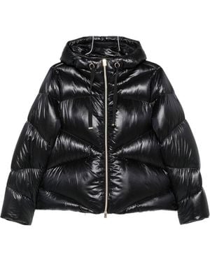 Herno Gesteppte Kapuzenjacke - Schwarz