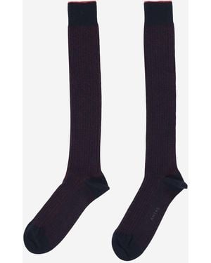 ANT45 Cotton Socks With Logo - Blue
