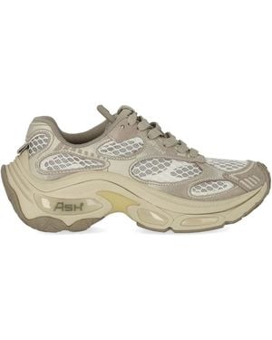 Ash Dragon Sneaker - Gray