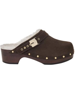 Scholl Pescura Lena - Braun