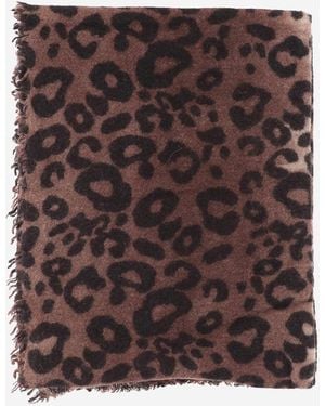Faliero Sarti Faliero Sarti - Brown