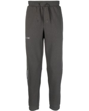 EA7 Hose mit Kordelzug - Grau