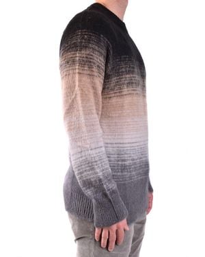 Laneus Laneus Multicolor