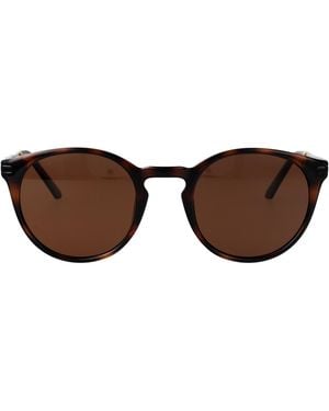Calvin Klein Injected Sunglasses - Brown