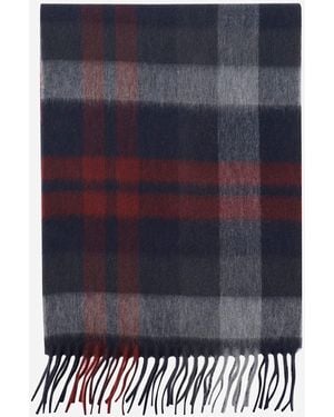 Alex Begg Cashmere Scarf - Blue