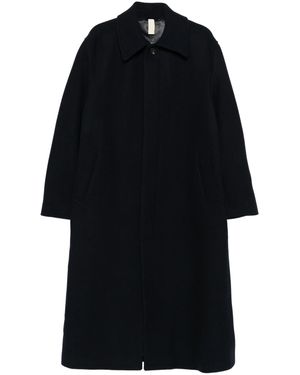 sunflower Sin más elaboración que laminada en caliente - Negro