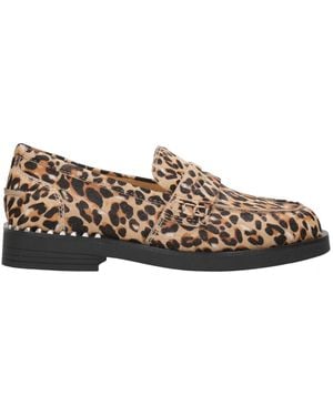 Ash Loafers - Marrone
