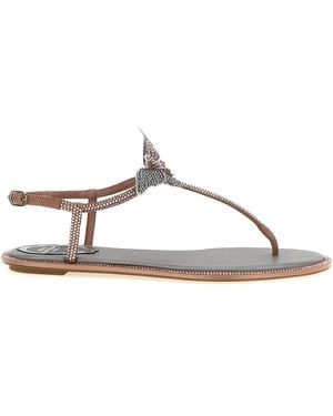 Rene Caovilla 'Fee' Sandalen - Braun