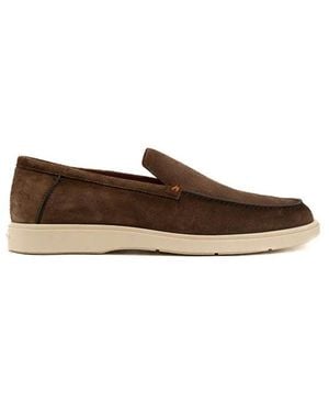 Santoni Botanist A - Brown
