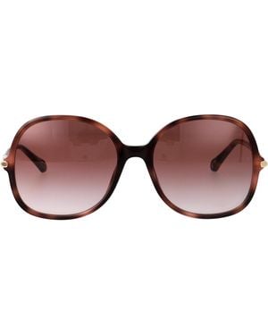 Chloé Havana-Havana- Acetate Sunglasses - Brown