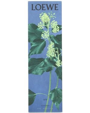 Loewe Ivy Incense Sticks - Green