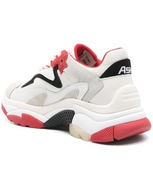 Ash Sneaker Verslaafd Wit/rood/zwart