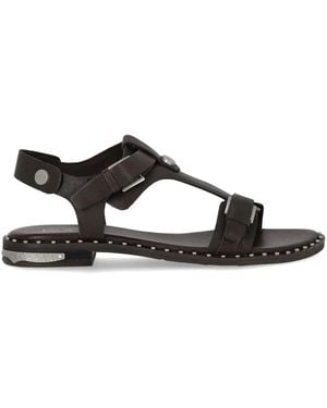 Ash Piper Dark Flat Sandal - Brown