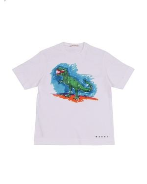 Marni Mt305 U Cattle And Goats - Grey