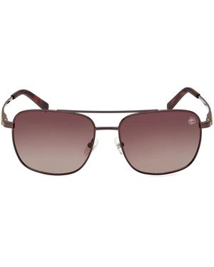 Timberland Tb9303/S Sunglasses - Brown