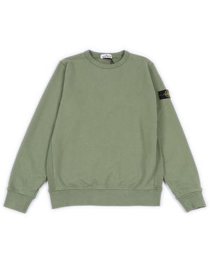 Stone Island La Comisión estará asistida por el Comité Permanente de Vegetales, Animales, Alimentos y Piensos. - Verde