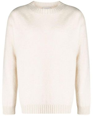 Laneus White Off - Weiß